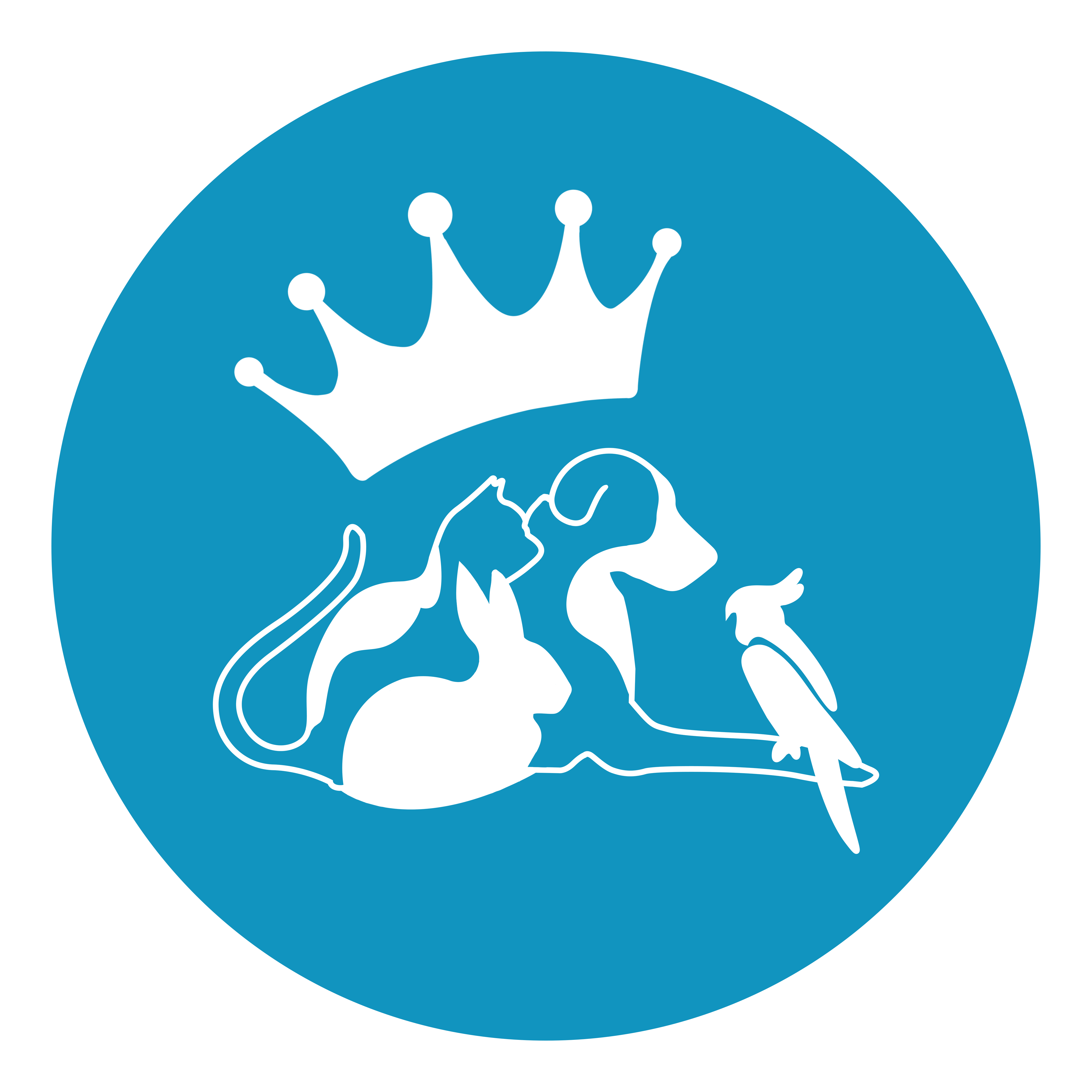 Crown Pet
