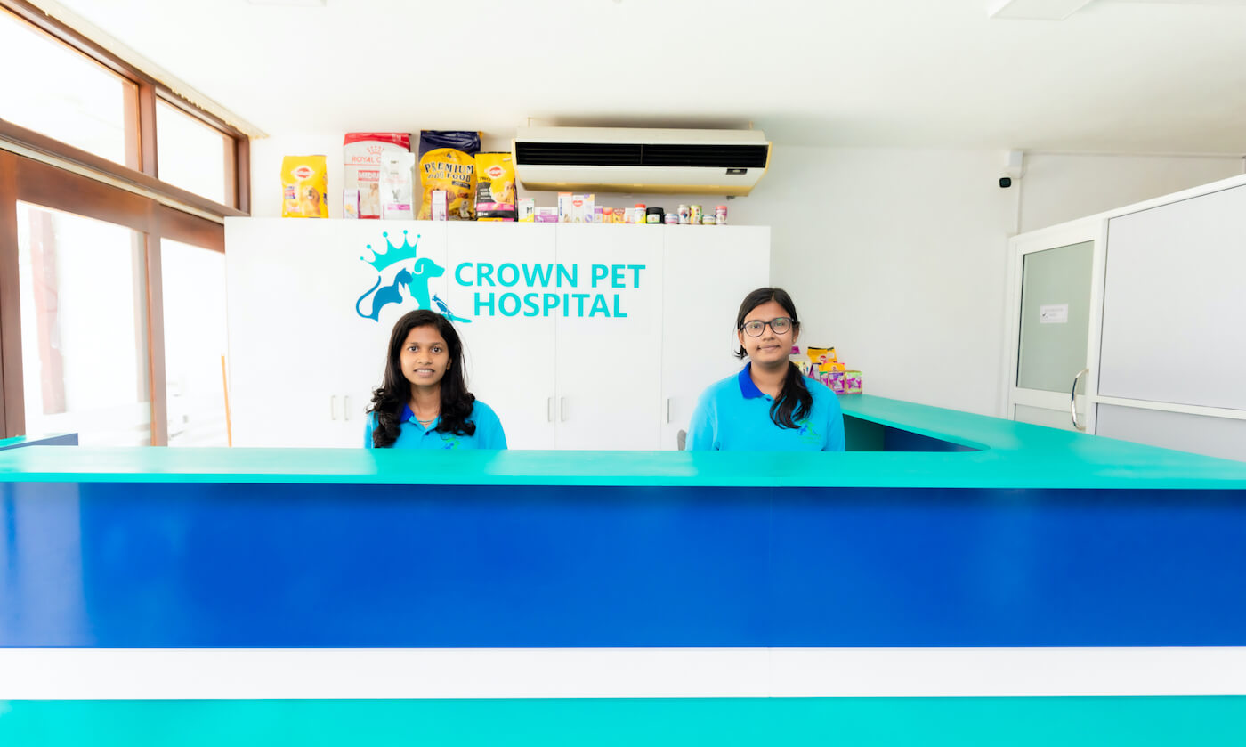 Crown Pet Hospital Reception