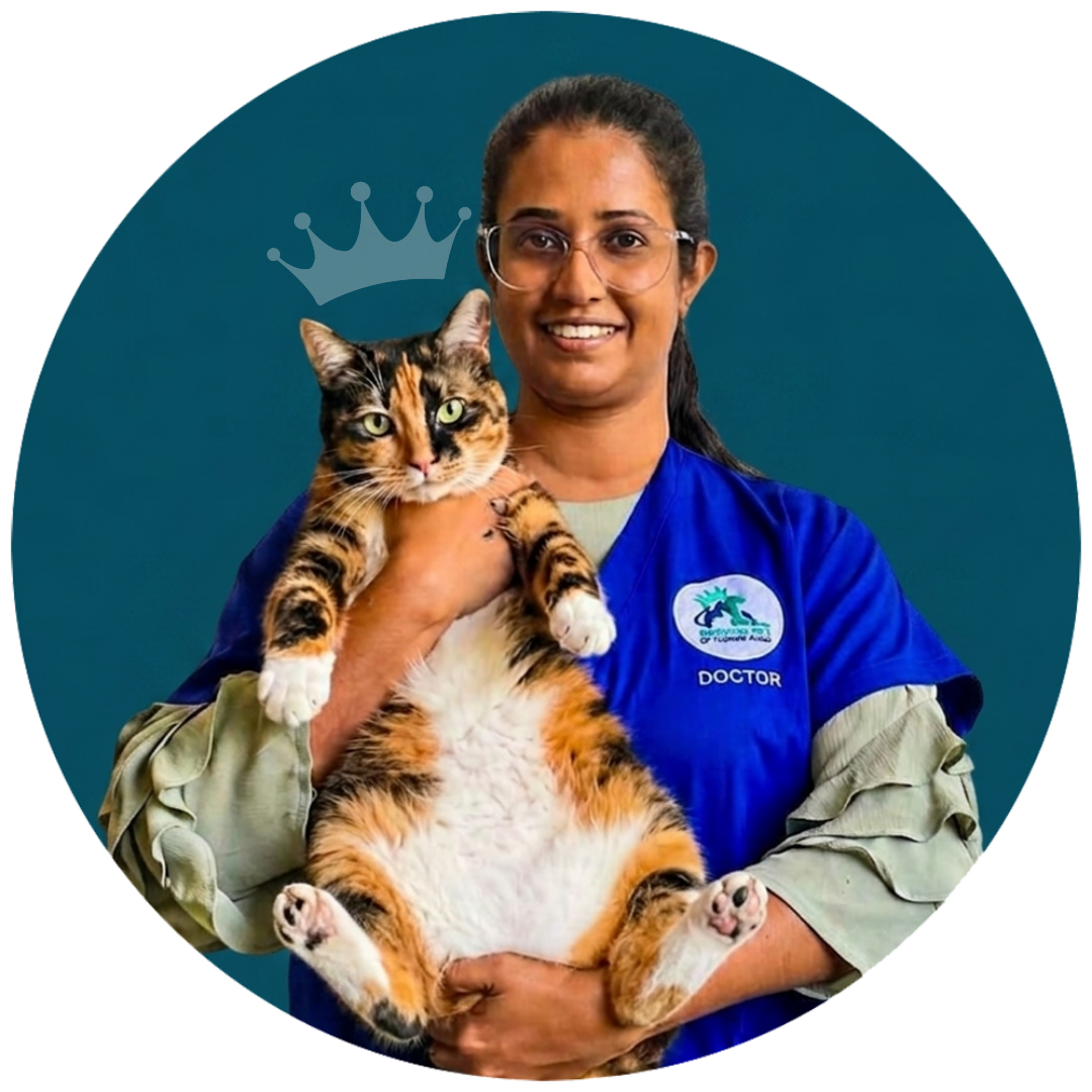 Dr. Kalani